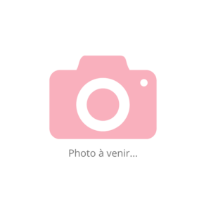 Photo à venir