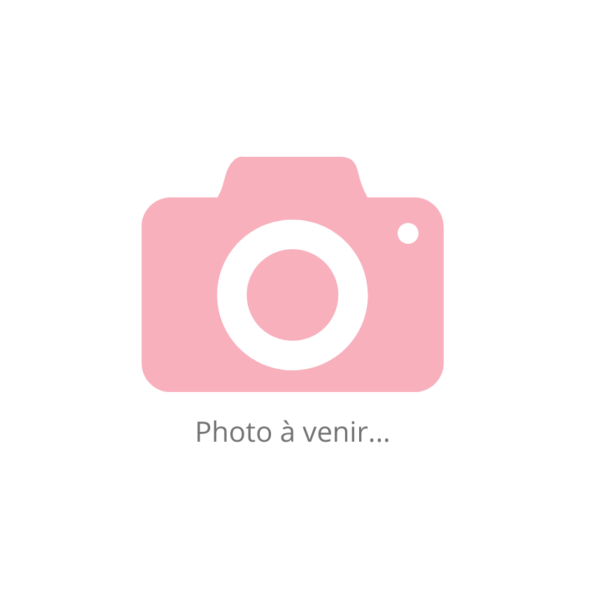 Photo à venir