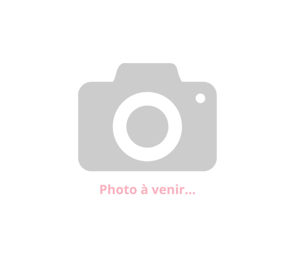 Photo à venir...-2
